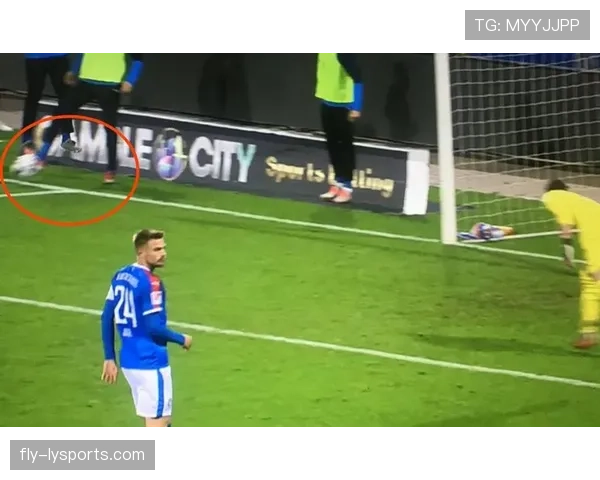 场外人员干扰时裁判如何判罚？规则细节全解析