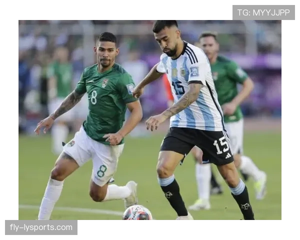 恩佐与麦卡利斯特：世界杯中场组织效率与防守作用对比分析